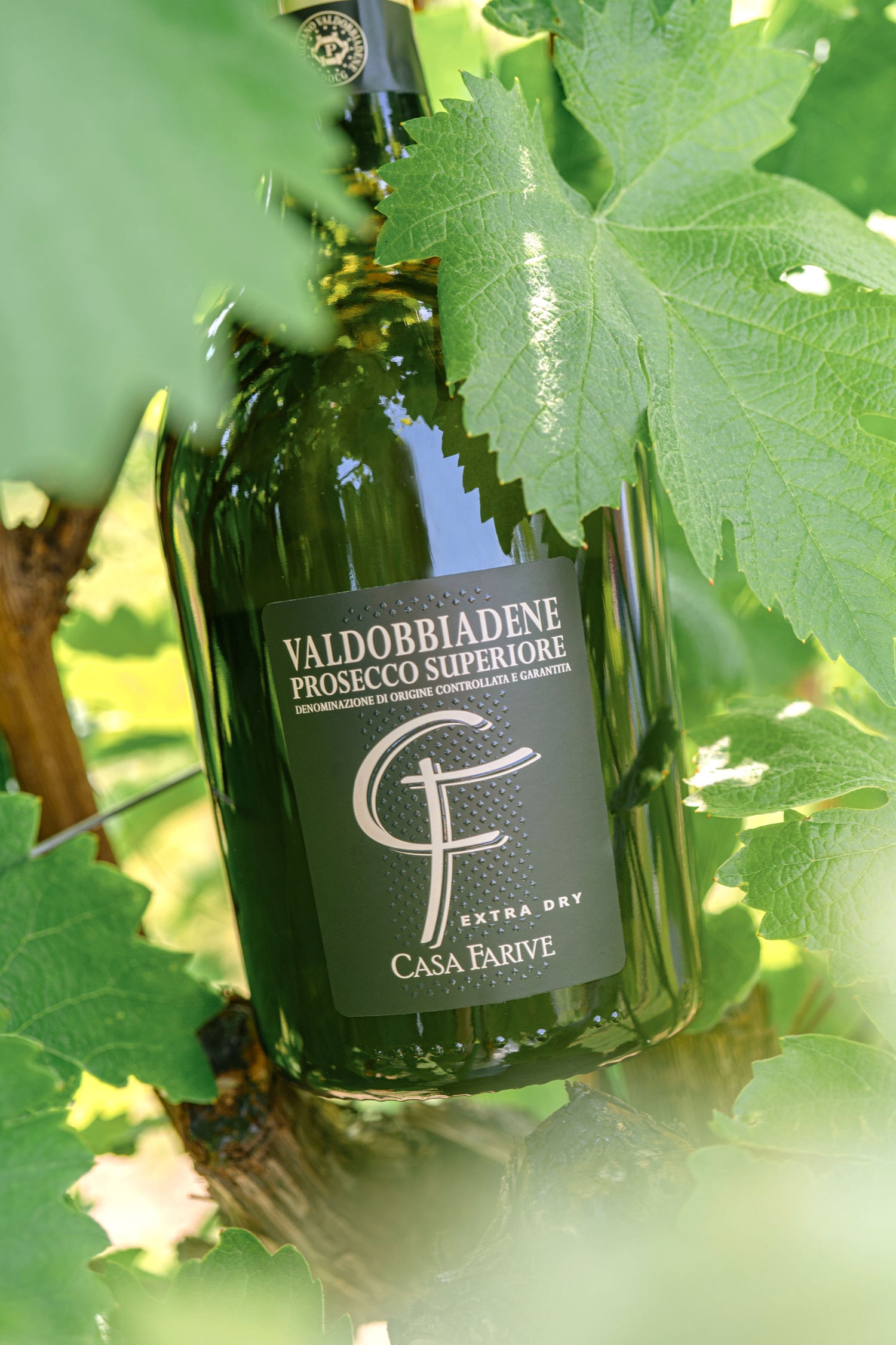 Prosecco Casa Farive Valdobbiadene DOCG