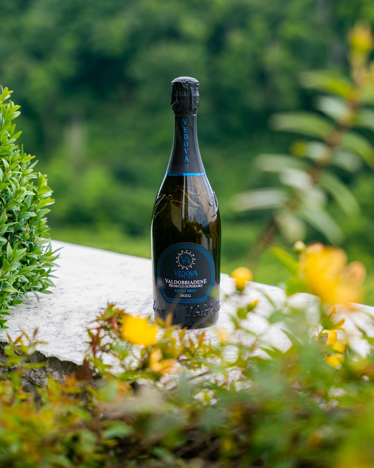 Prosecco Superiore Valdobbiadene - Extra Brut - Cantine Vedova