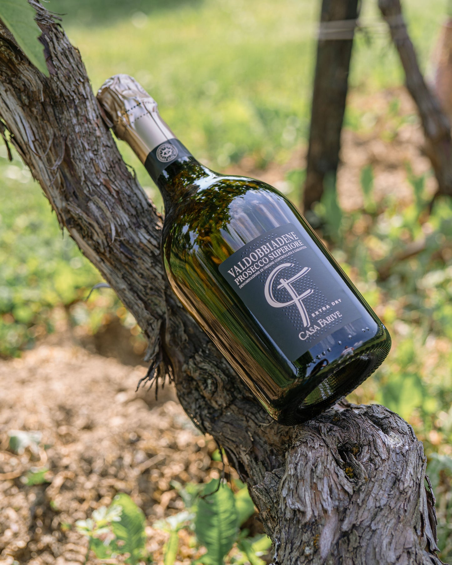 Prosecco Superiore DOCG - Extra Dry - Casa Farive